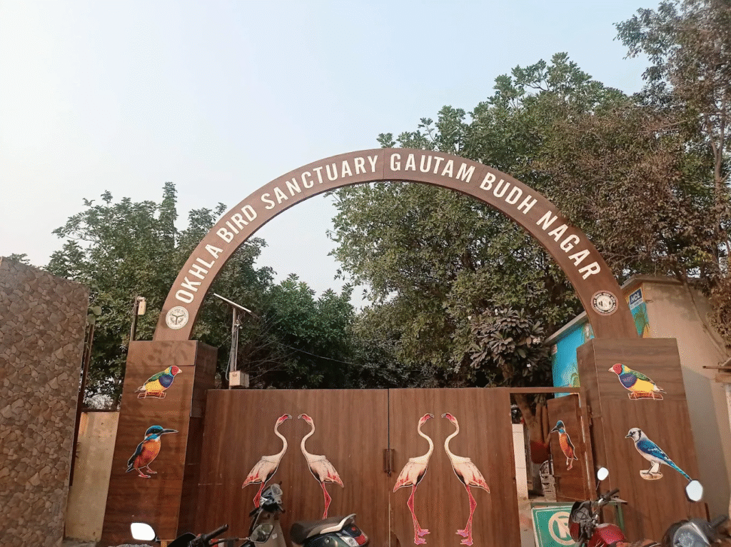 okhla bird sanctuary
